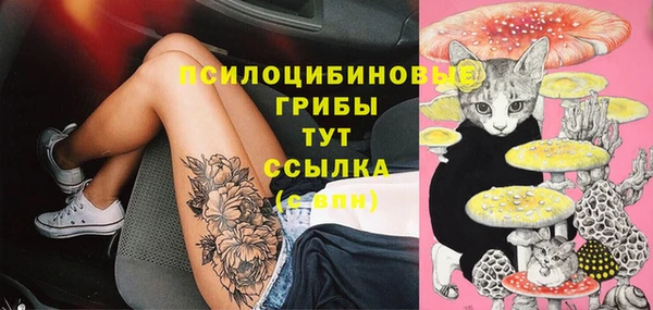 таблы Лабытнанги