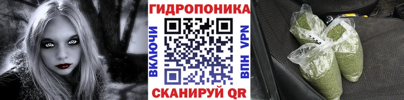 Шишки марихуана White Widow  Купить закладки  Новосибирск 